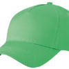 5 Panel Cap James & Nicholson - limegreen