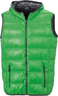 Men s Down Vest - green/carbon