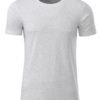 Mens Basic T James & Nicholson - ash