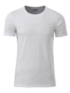 Mens Basic T James & Nicholson - ash