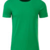 Mens Basic T James & Nicholson - fern green