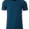 Mens Basic T James & Nicholson - petrol