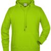 Men's Bio Hoody James & Nicholson - acid yellow