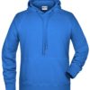 Men's Bio Hoody James & Nicholson - cobalt