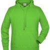 Men's Bio Hoody James & Nicholson - lime green